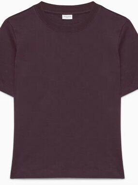 Aritzia/Babaton Function T Shirt in Noble - Size S